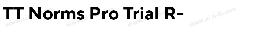 TT Norms Pro Trial R字体转换